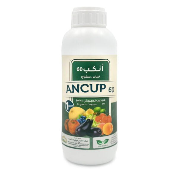 Ancup